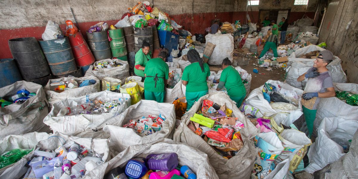 Mais de 15 mil toneladas de lixo deixaram de ser recicladas em Pelotas