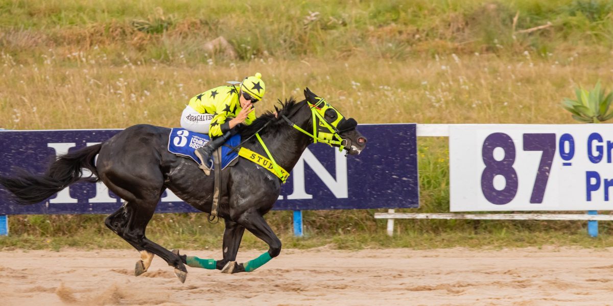 Kauã Gonçalves vence o campeonato de jóqueis