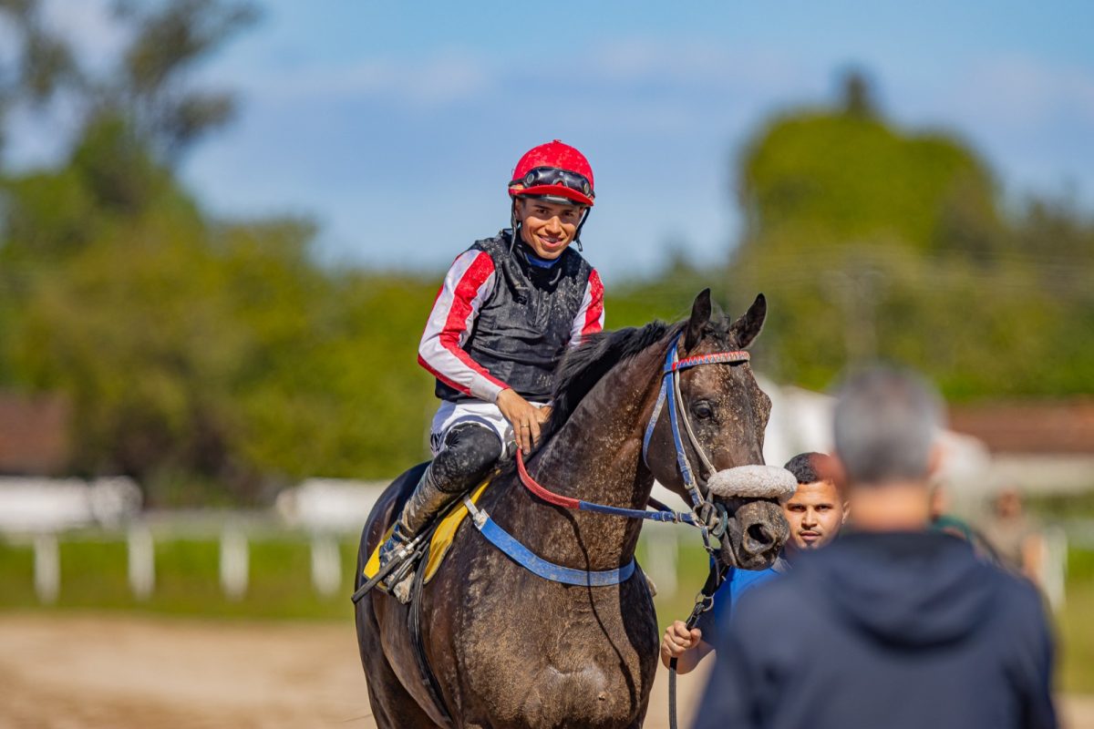 Melhor jóquei da temporada pode ser conhecido neste domingo