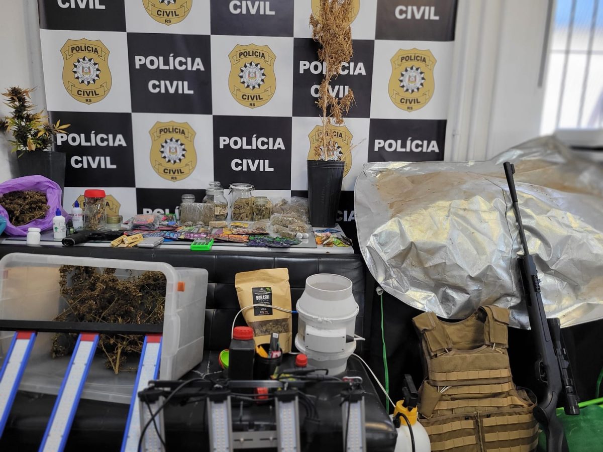 Polícia Civil descobre “fábrica” de maconha no Cassino