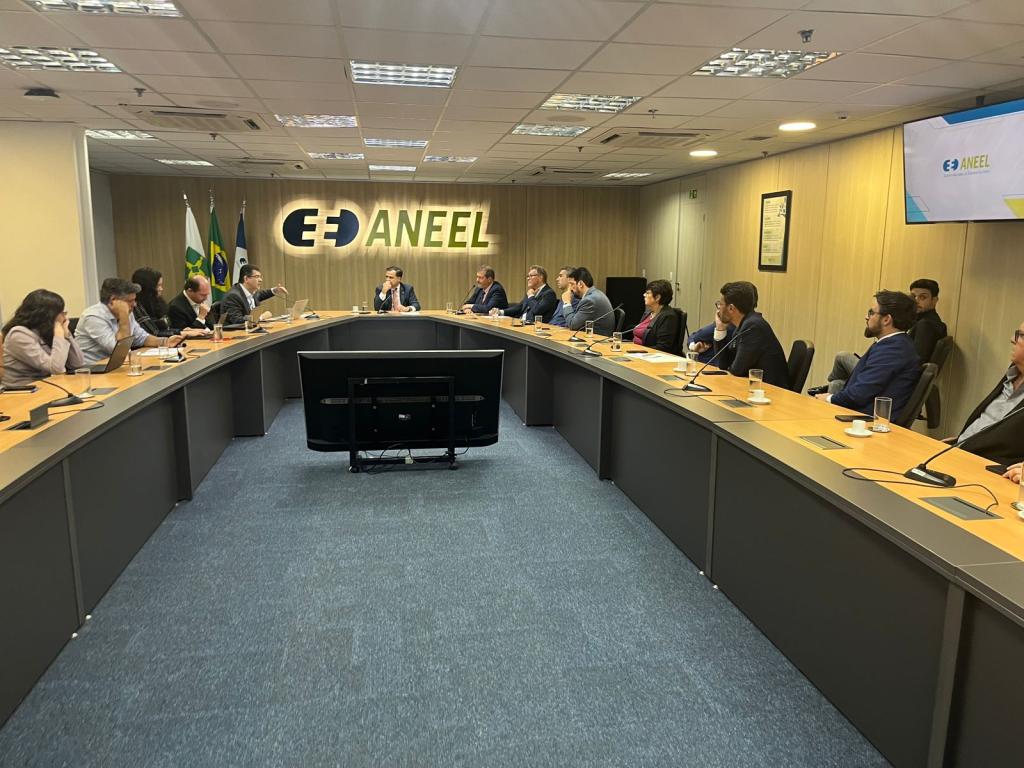 Comitiva buscará ministério para destravar termelétrica em Rio Grande