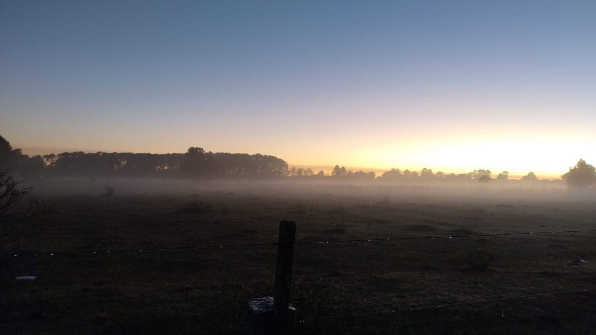 Inverno começa com 7ºC em Pelotas e cerração