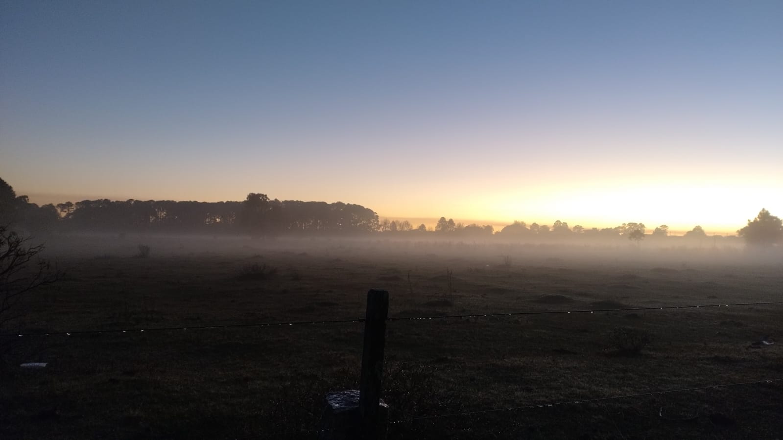 Inverno começa com 7ºC em Pelotas e cerração