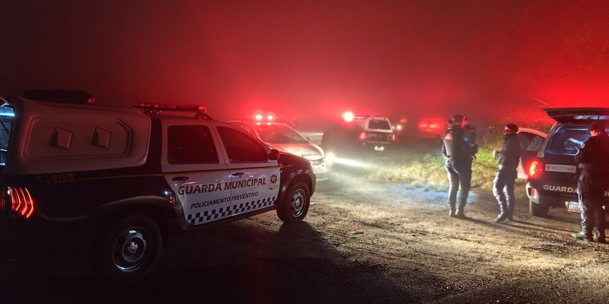 Guarda Municipal e Brigada Militar impedem furto de carga em Pelotas