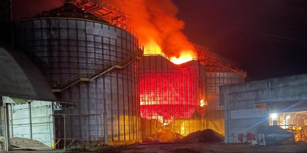 Empresa de grãos é investigada por crime ambiental em Arroio Grande