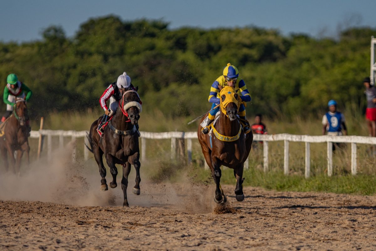 GP Princesinha marca os 95 anos do Jockey Club de Pelotas