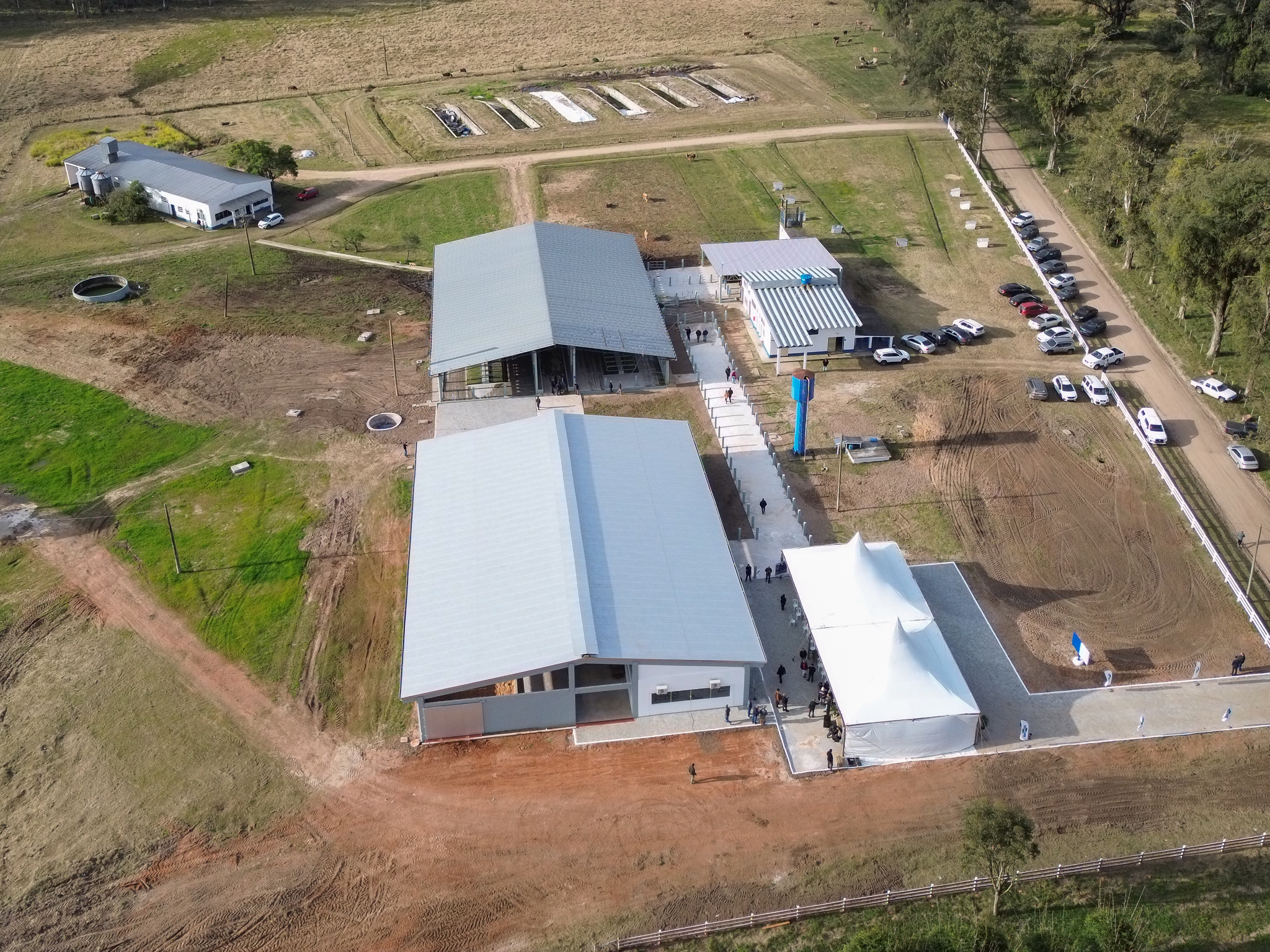 Novos laboratórios consolidam Pelotas como referência em pesquisa voltada à pecuária leiteira