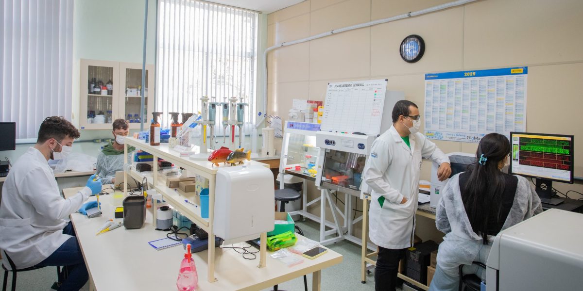 Unidade Embrapii de Pelotas conta com R$ 120 milhões para o fomento ao agronegócio