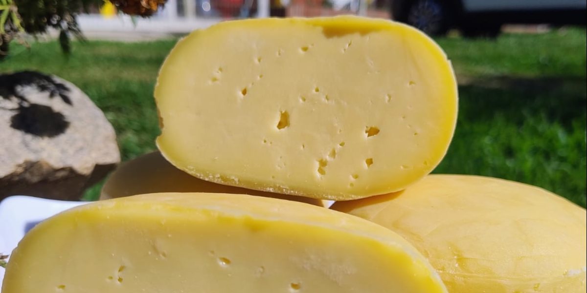 UFPel anuncia projeto para qualificação de agroindústrias