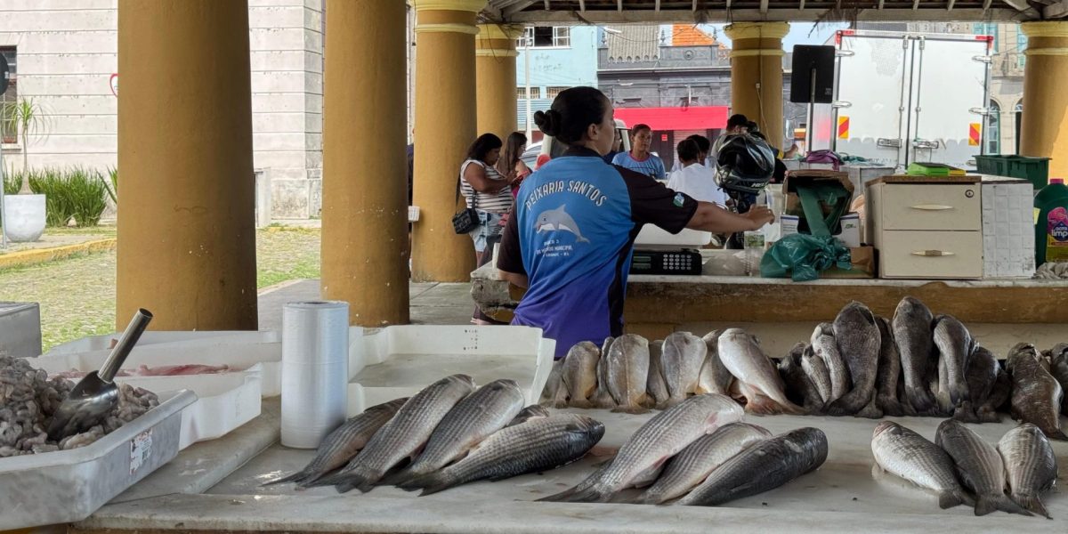 Justiça nega ação de pescadores e cota para tainha segue em vigor