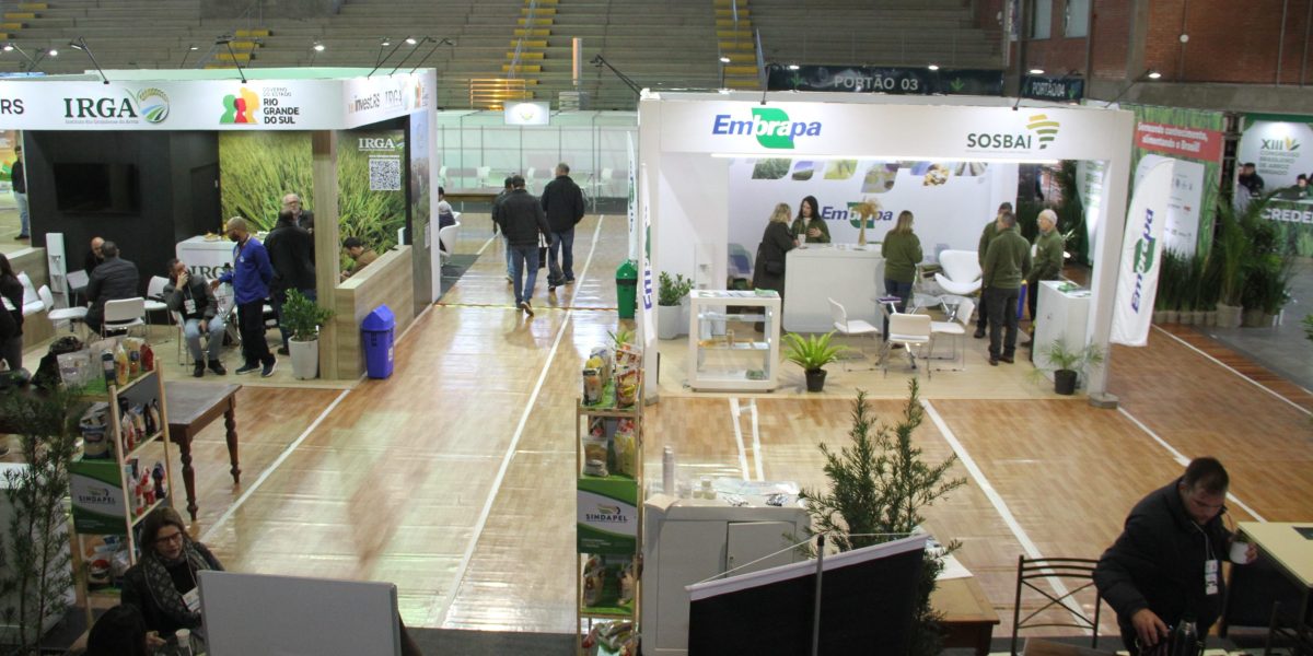 Congresso Nacional do Arroz Irrigado aproxima produtores e pesquisadores