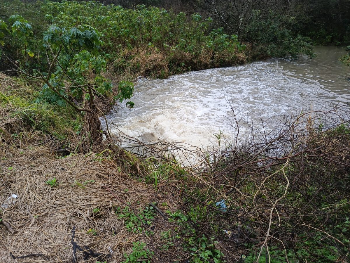Arroios de Pelotas estão sob alerta de elevação