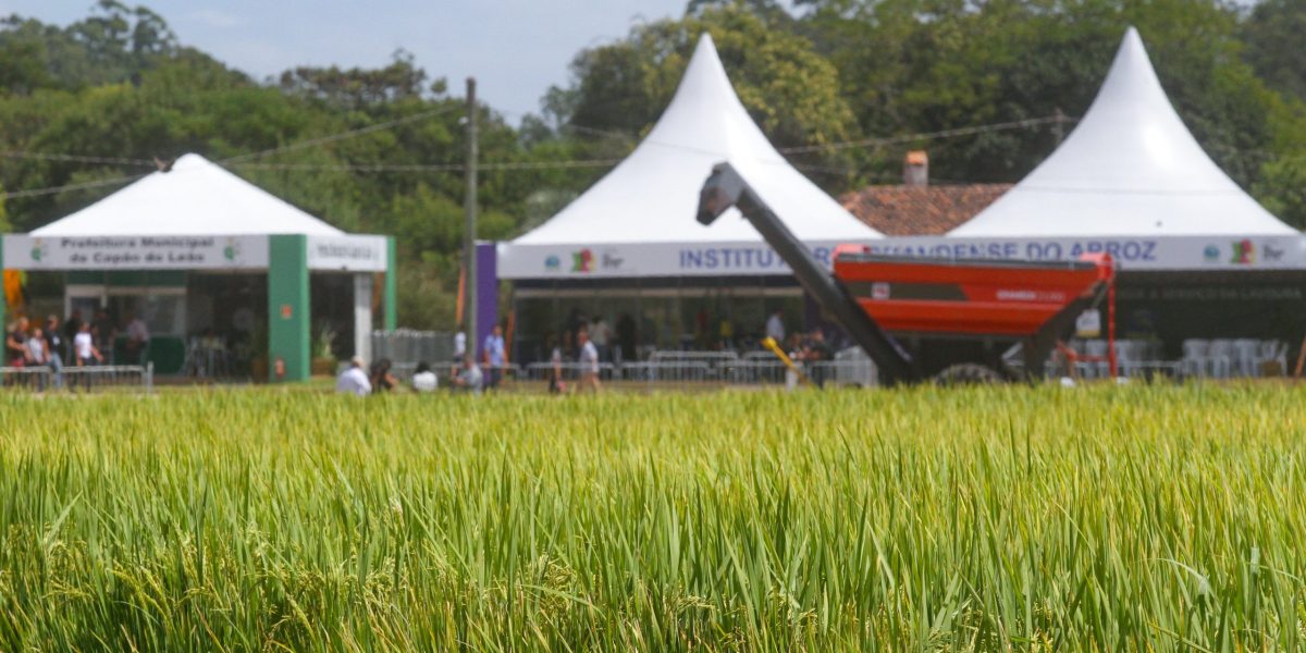 Farsul cobra soluções para dívidas de produtores rurais