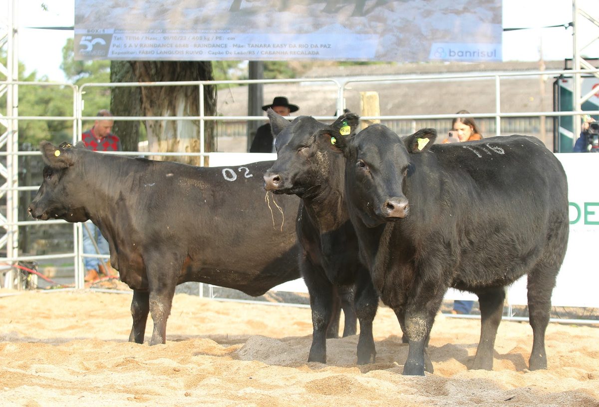 Melhoramento genético e sustentabilidade pautam participação da UFPel na 48ª Expointer
