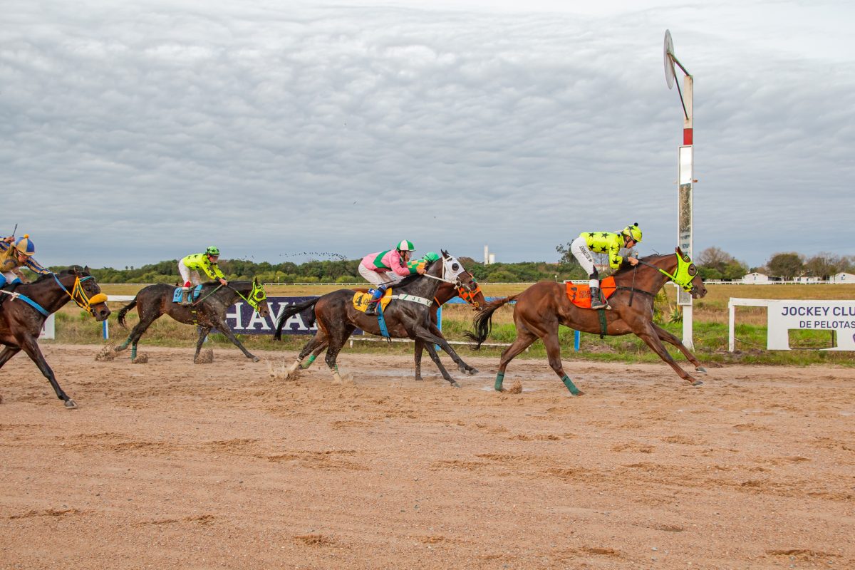 Old Fashioned vence o GP Princesinha