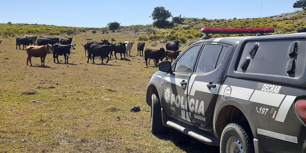 Instalação de Delegacia para Crimes Rurais depende de reivindicação de produtores