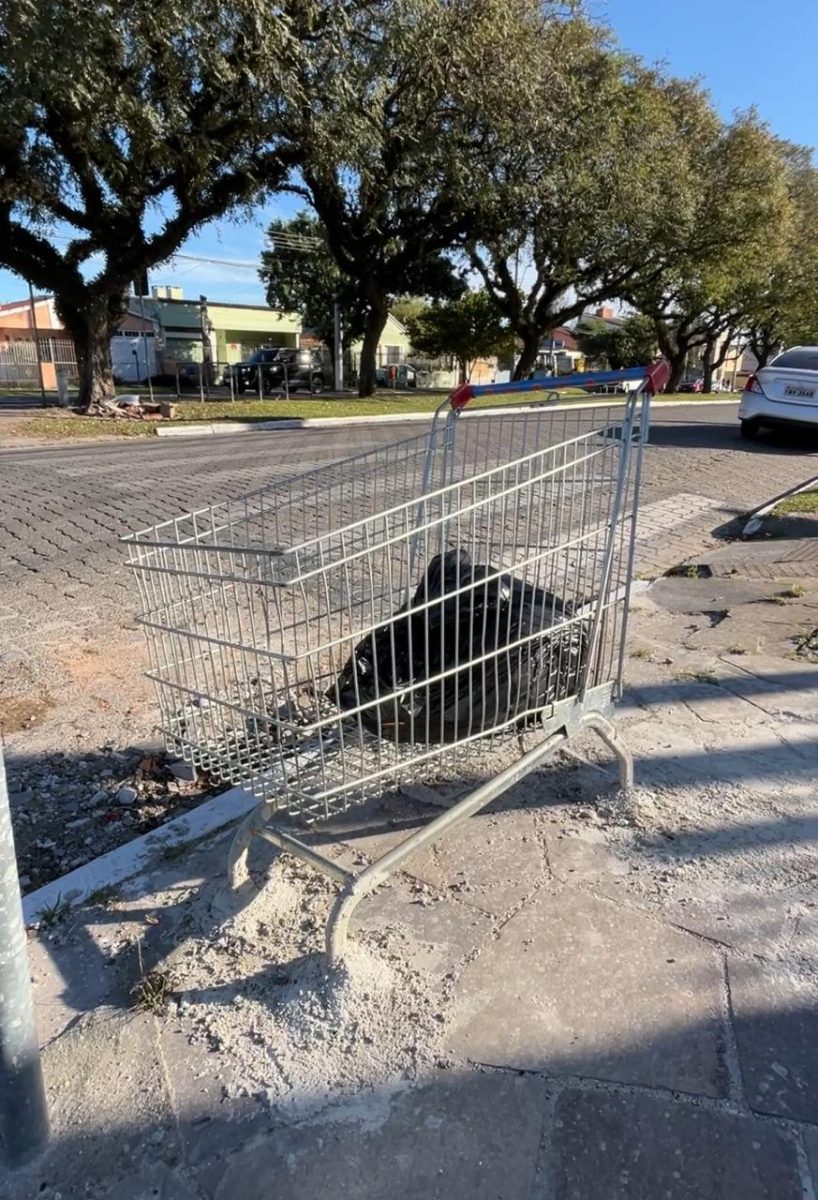 Carrinho é concretado em calçada no Areal