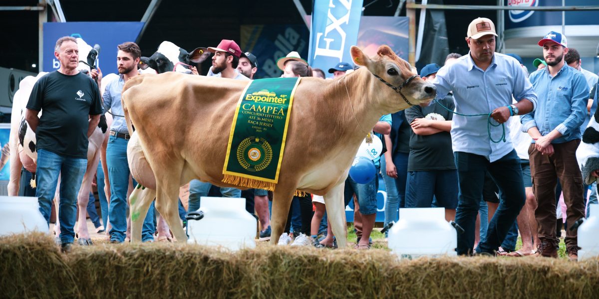 Recorde em torneio leiteiro é de São Lourenço do Sul