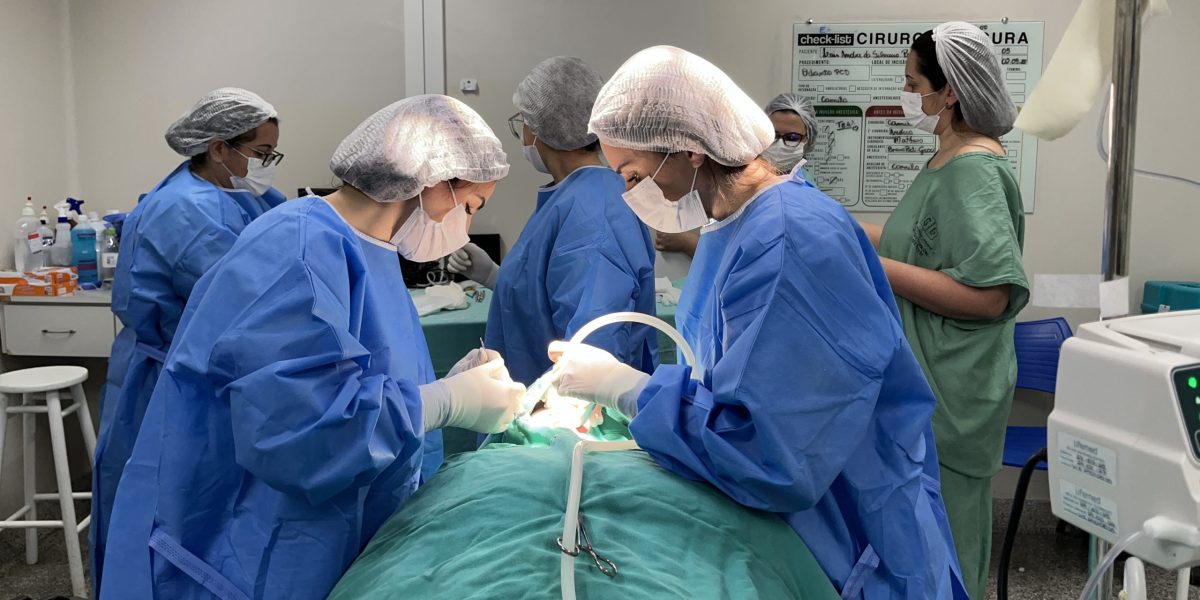 Projeto proporciona atendimento odontológico gratuito a PCDs