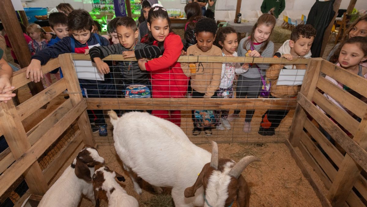 99ª Expofeira inicia na segunda-feira com programação diversificada
