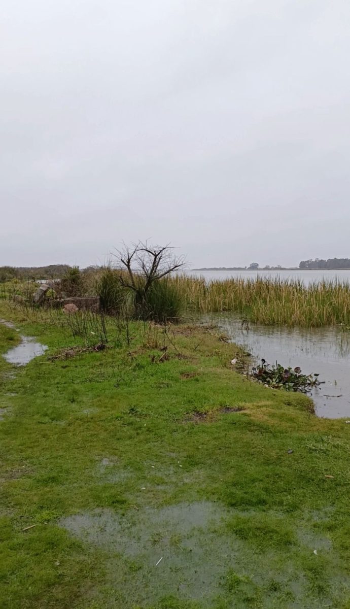 Corpo encontrado no canal São Gonçalo é de Alan dos Santos da Rosa