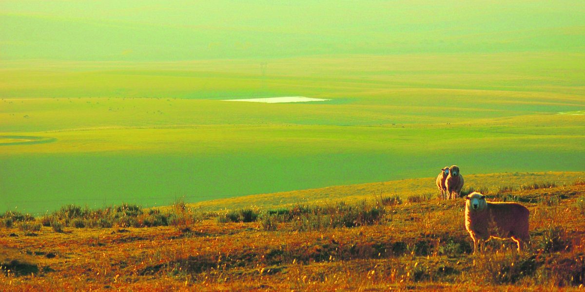 Produtores rurais poderão aliar gastronomia e turismo na região