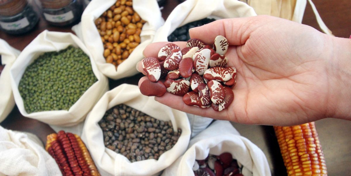 Valorização de Saberes tradicionais que passa de geração em geração