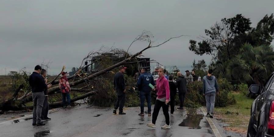 Ventos fortes atingem Santa Vitória do Palmar e causam estragos na BR-471