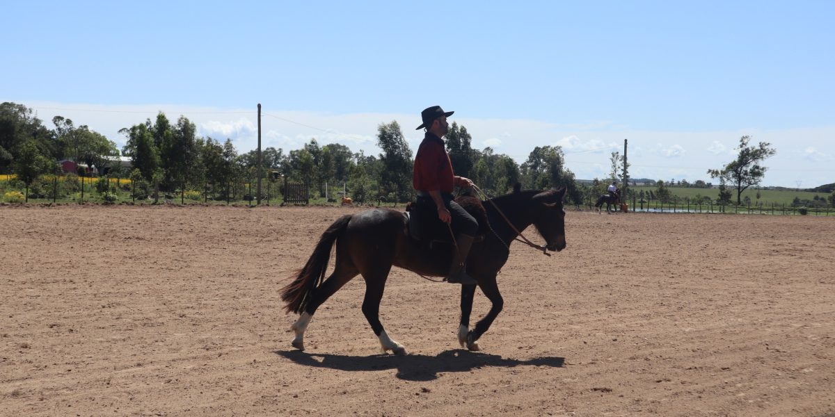 Final de semana com programação intensa na 86ª Expofeira de Arroio Grande