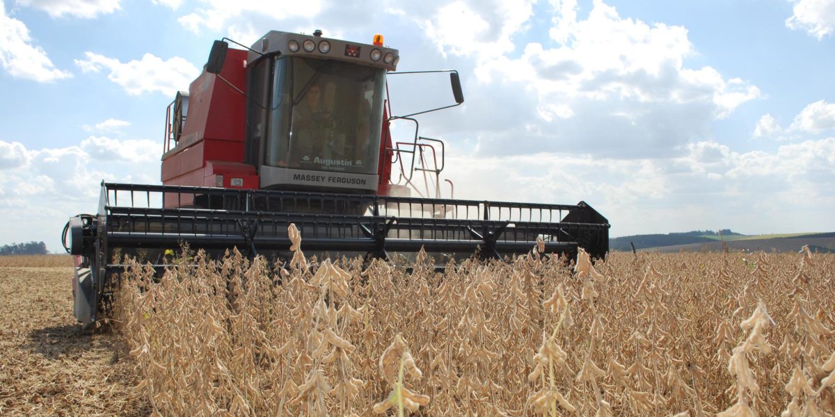 Conab projeta safra recorde no RS, mas Zona Sul mantêm cautela