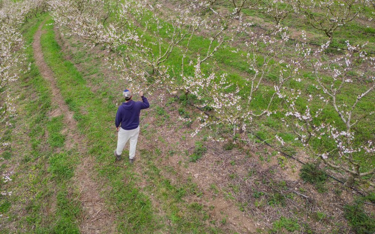Aumento da probabilidade de La Niña é alerta para agricultura da Zona Sul