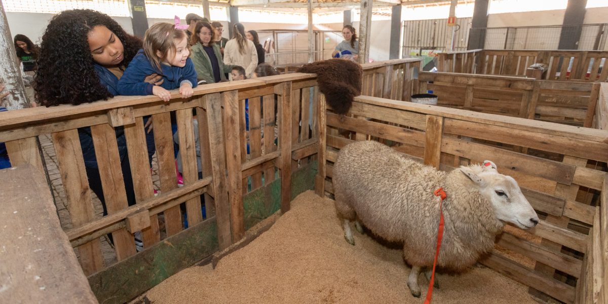 Expofeira de Pelotas inicia com programação intensa
