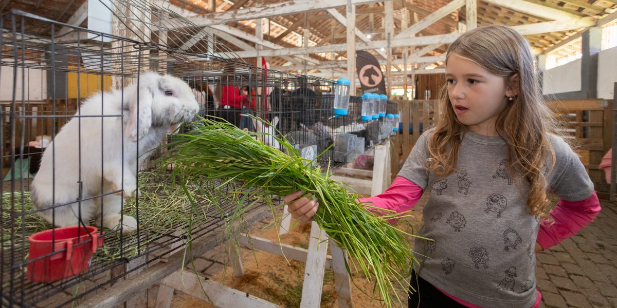 Fazendinha retorna à Expofeira de Pelotas com novas atrações