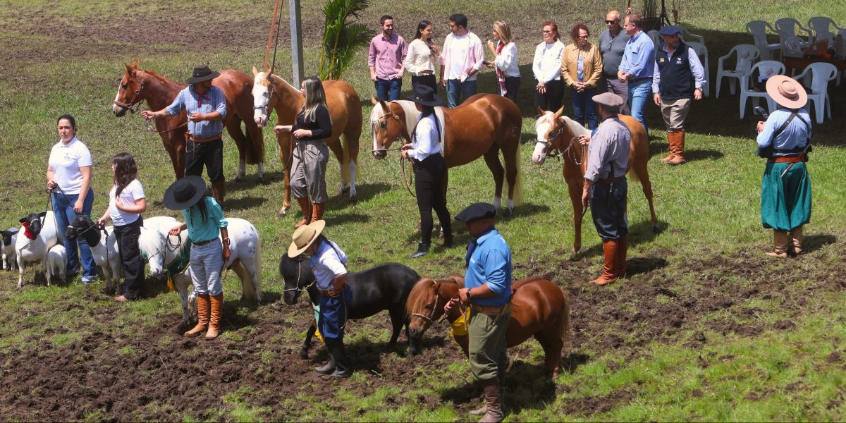 Seis dias para celebrar a tradição rural da Zona Sul