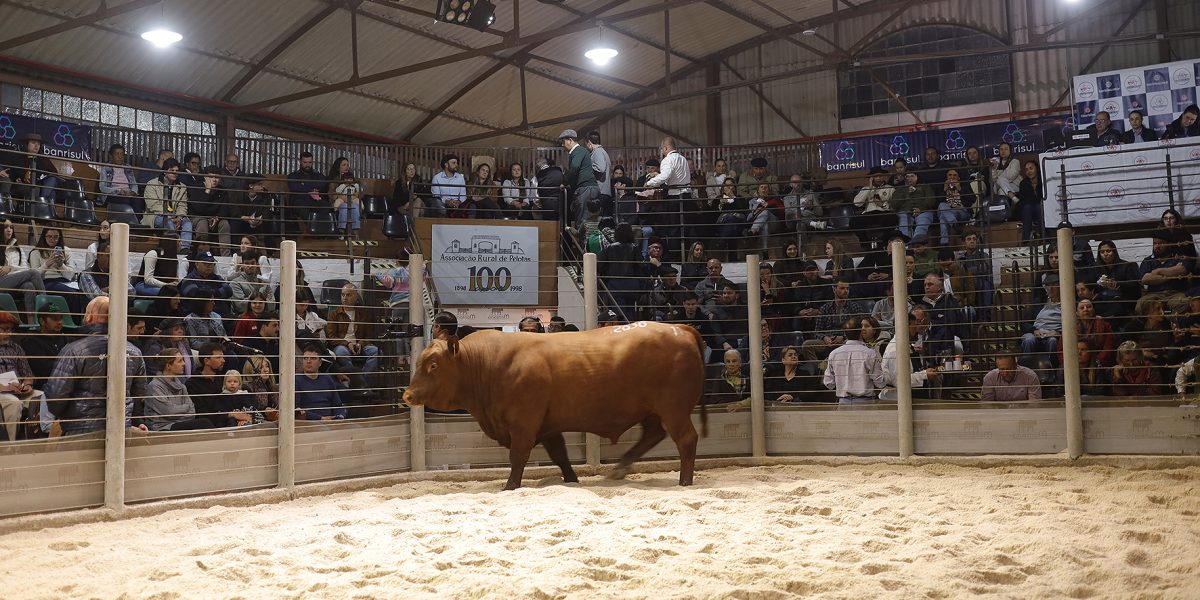 Último fim de semana promete movimentar o Parque da Associação Rural