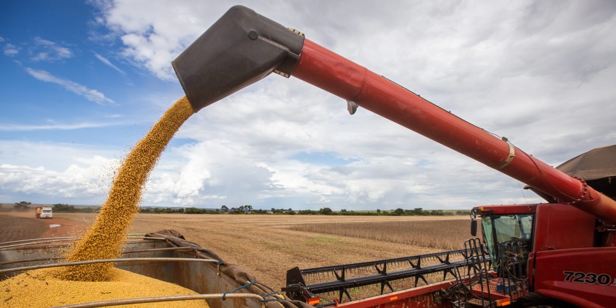 Safra de soja pode bater recorde após anos de perdas no Estado