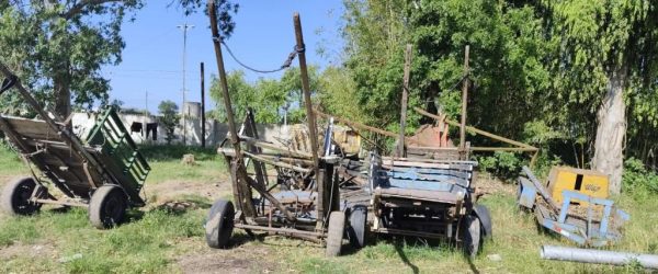 Rio Grande avança na retirada de veículos de tração animal das ruas