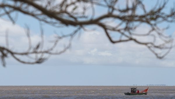 Oficina nacional apresenta diagnóstico sobre os principais desafios da Bacia da Lagoa Mirim e Lagoas Costeiras