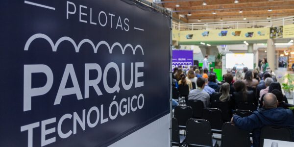 Campanha busca recursos para restaurar os bancos da Catedral