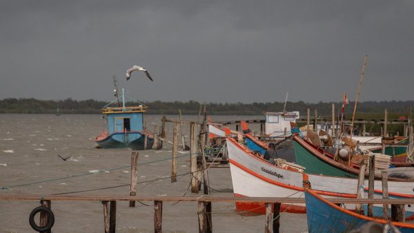 Salinização precoce da lagoa anima pescadores, mas incertezas seguem