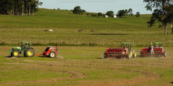 Safra de arroz na Zona Sul avança com semeadura antecipada
