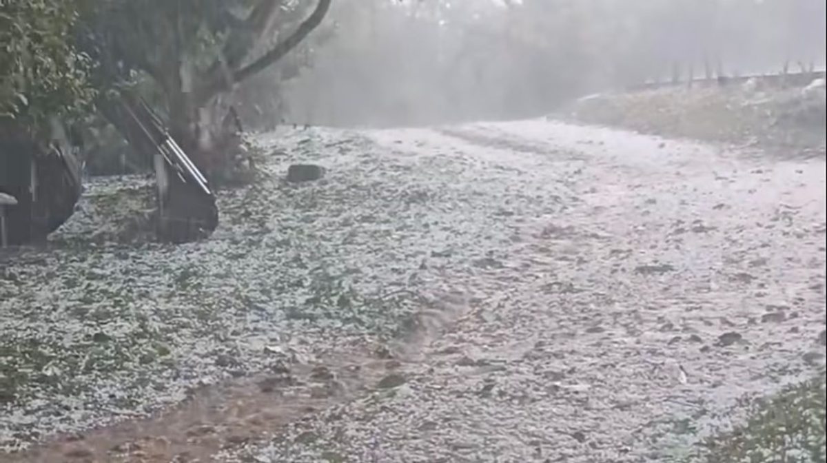 Temporal de granizo atinge Morro Redondo e danifica plantações