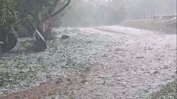 Temporal de granizo atinge Morro Redondo e danifica plantações