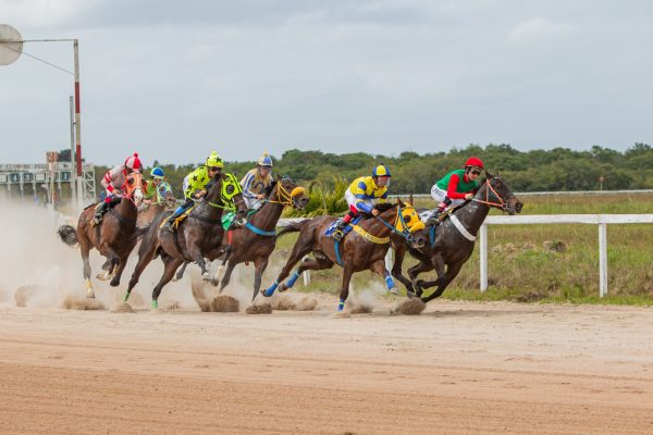 Jockey Club de Pelotas recebe cinco páreos neste domingo