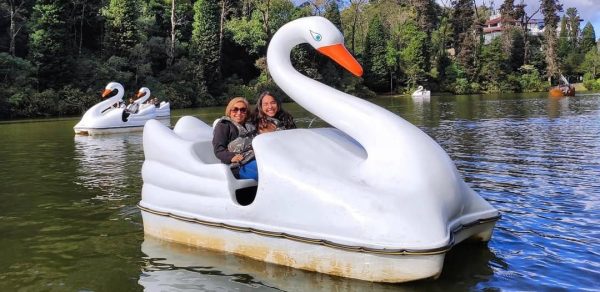 Teste rápido para sair da linha vermelha