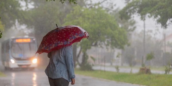 Árvore cai na Bento Gonçalves e atinge moto e carro