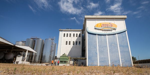 Preço do remate de prédio da Cosulati é alvo de críticas