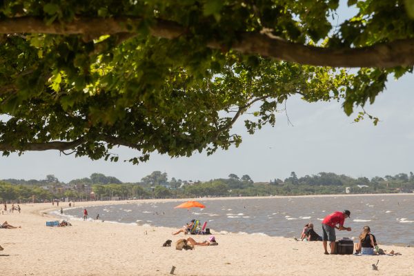 Sul Resiliente integra cidades na construção de plano de contingência climática