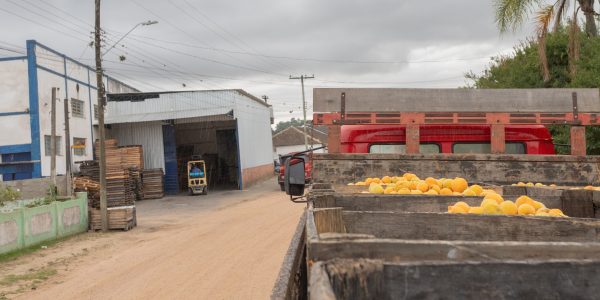 Lideranças articulam retorno de Arranjo Produtivo Local voltado a alimentos