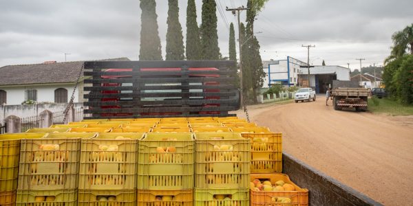 Estimativa da Emater indica perda de 20% na safra do pêssego na região
